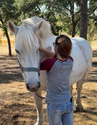 Whitey's Equine Therapy, LLC
